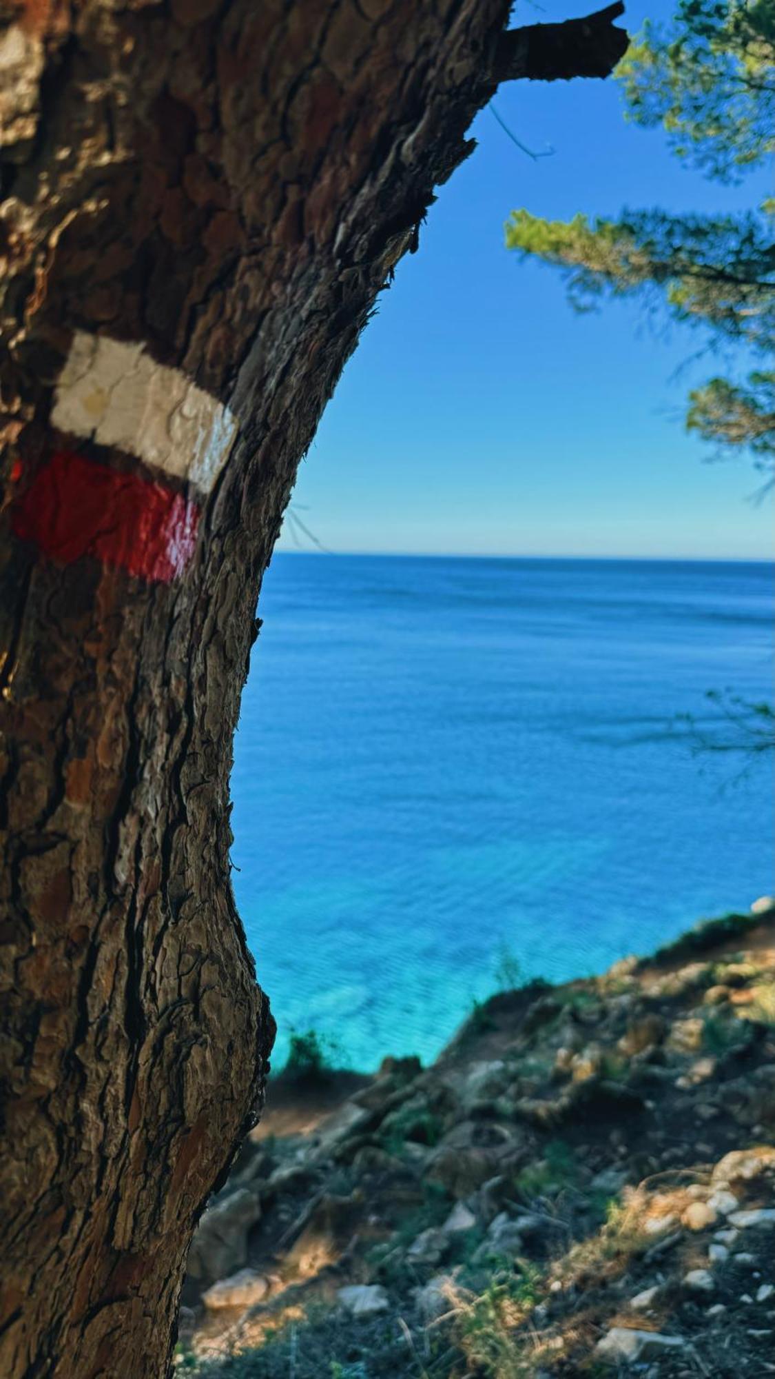 Can Romy Appartement T3 B - A 20M De La Plage De Cala Montgo เลสกาลา ภายนอก รูปภาพ