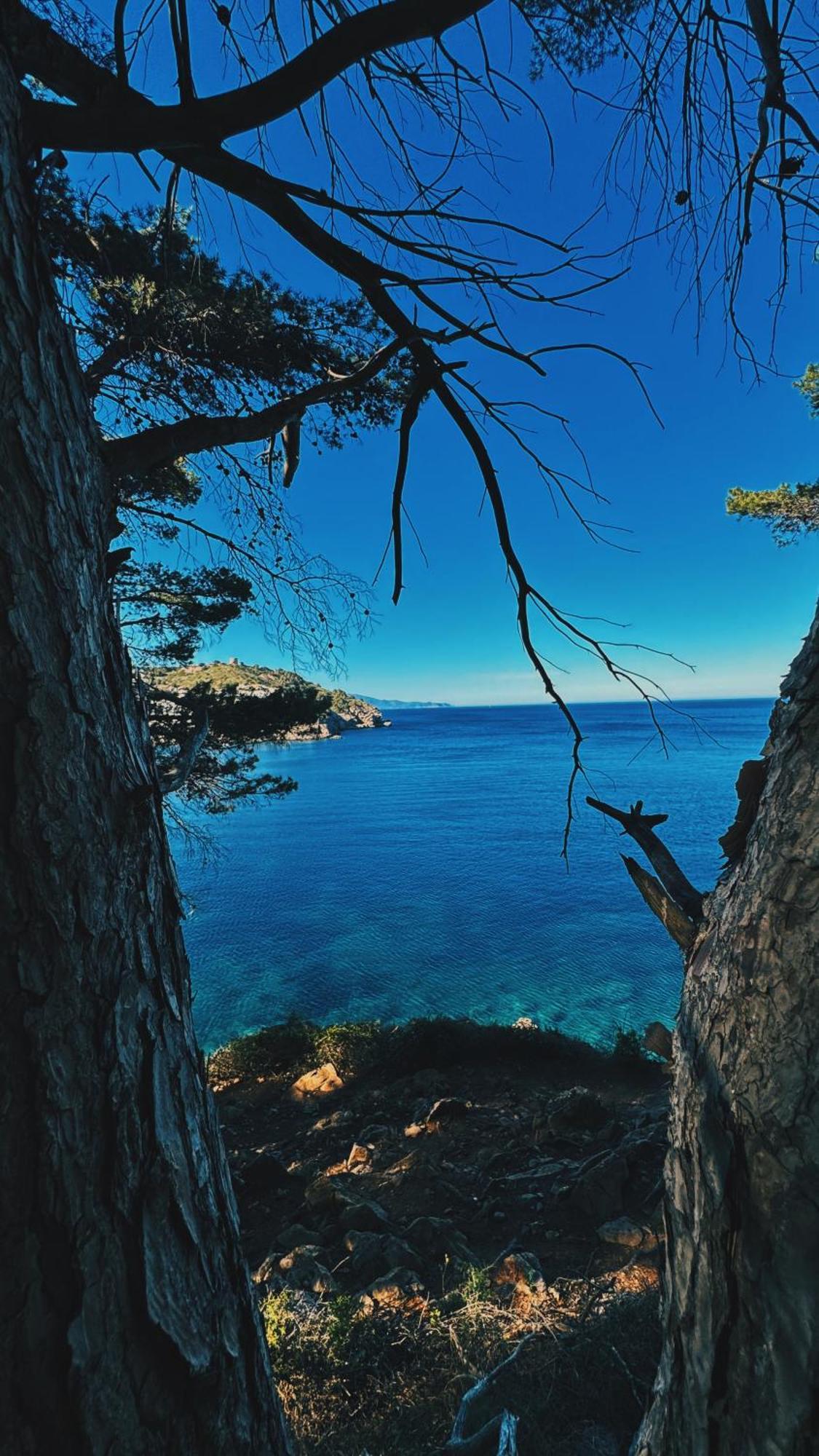 Can Romy Appartement T3 B - A 20M De La Plage De Cala Montgo เลสกาลา ภายนอก รูปภาพ